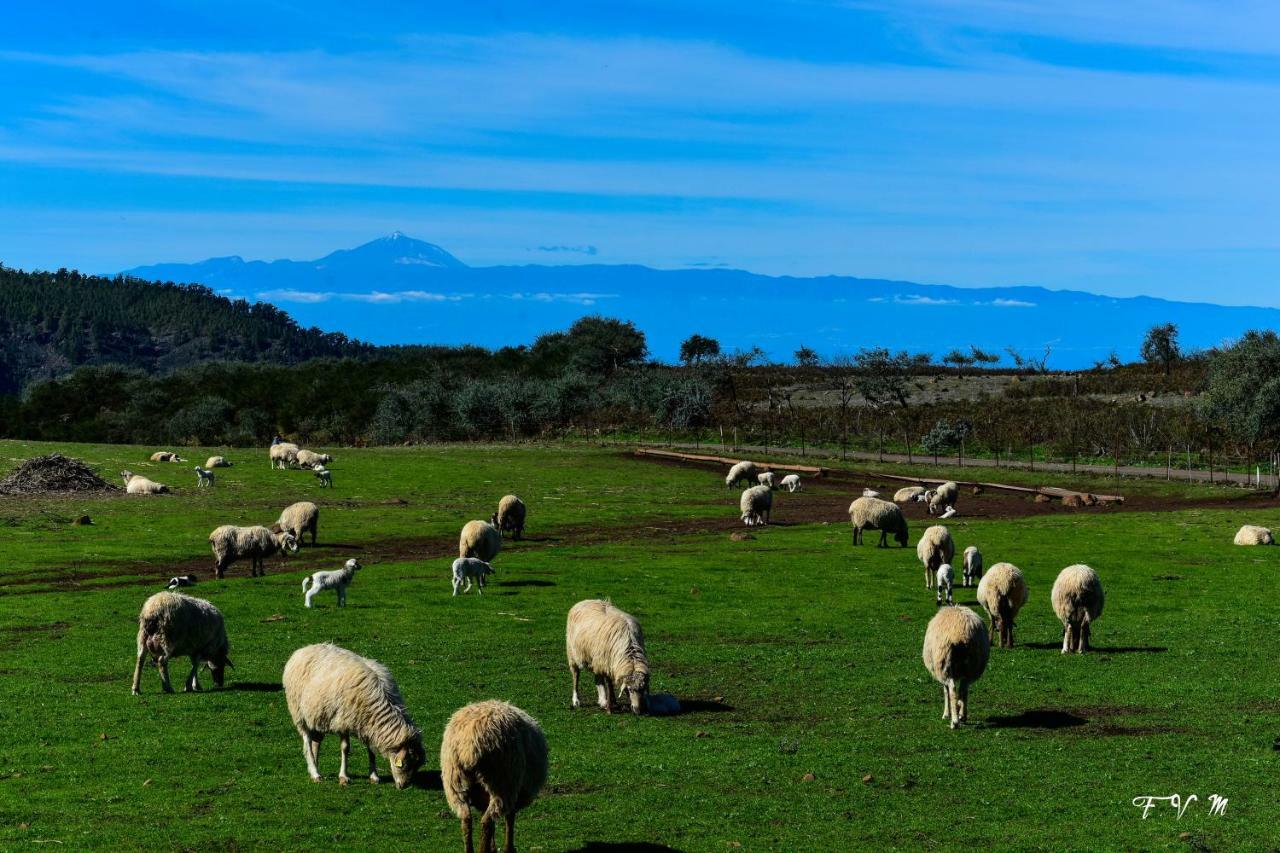Casa Rural Zalemy San Pedro  Εξωτερικό φωτογραφία
