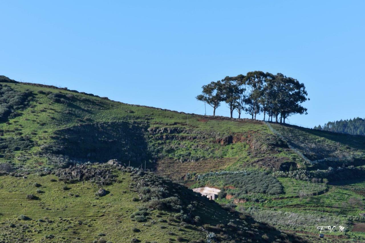 Casa Rural Zalemy San Pedro  Εξωτερικό φωτογραφία